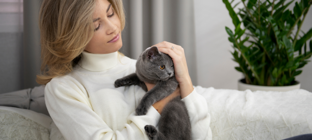 Top Cat Grooming Services and Cat Groomers in Tonopah