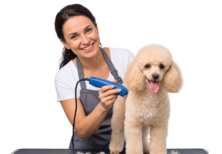 Freshly groomed pets in Austin